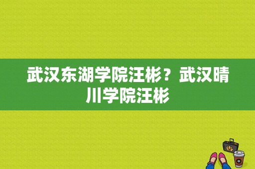 武汉东湖学院汪彬？武汉晴川学院汪彬