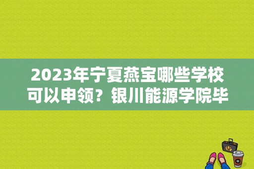 2023年宁夏燕宝哪些学校可以申领？银川能源学院毕业证