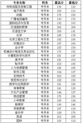 新乡专科学校的分数线（新乡学院专科录取）-图3