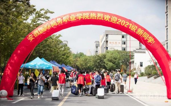 安徽国际商务职业学院新生（安徽国际商务职业学院新生服务平台）-图2