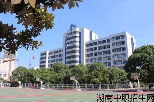 公办的职业学院有哪些（有那些公办的职业学校）-图2