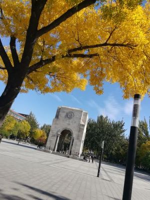 天津大学校园风景（天津大学校园风景排名第几）-图2