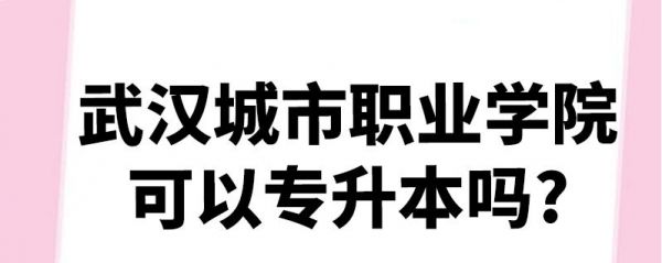 武汉城市职业学院海员（武汉城市职业学院吧 百度贴吧）-图3