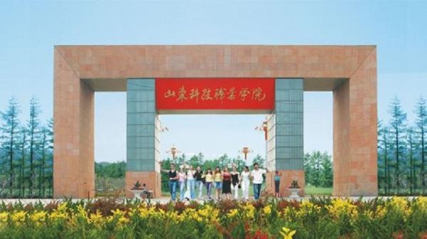 山东科技职业学院最脏（山东科技职业学院原名）-图3