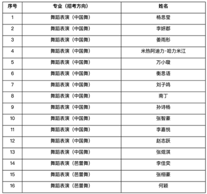 上海舞蹈学校哪个好（上海的舞蹈学校排名）-图3