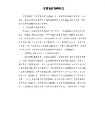 学前教育调研报告范文（学前教育调研报告范文3000字）-图3