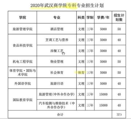 武汉职业学院招生简章（武汉职业学院招生简章2022）-图3