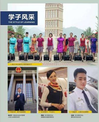 西南航空职业学院待遇（西南航空职业学院工作）-图3