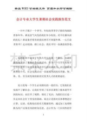 会计专业社会实践报告范文（会计专业社会实践报告2000字）-图3