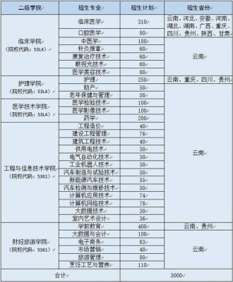 德宏职业学院只招文科生（德宏职业学院2021招生简章）