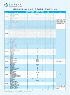 威海职业学院招生（威海职业学院招生办）-图1