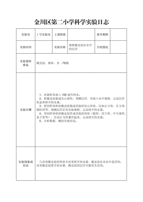 初二物理日记范文（初二物理实验日记）-图2