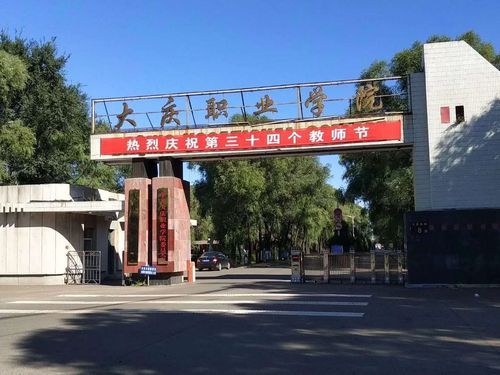 大庆职业学院能专升本（大庆职业学院专升本学校有哪些）-图3