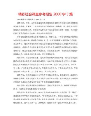 调查报告范文2000字（社会调查报告范文2000字）-图3