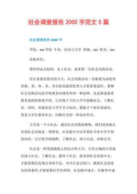 调查报告范文2000字（社会调查报告范文2000字）-图2