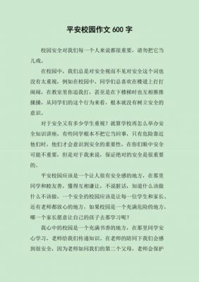 职业学院平安校园总结（平安校园总结500字）-图3