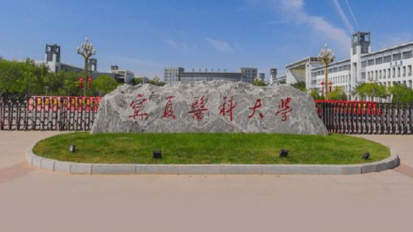 宁夏医科大学专科学校（宁夏医科大专学校有哪些）-图2