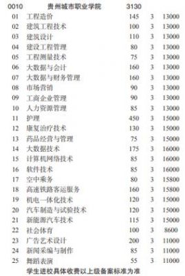 贵州城市职业学院的学费（贵州城市职业技术学院学费多少）-图2