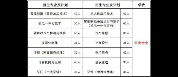 山东凯文科技职业学院收费（山东凯文科技职业技术学院学费）-图2