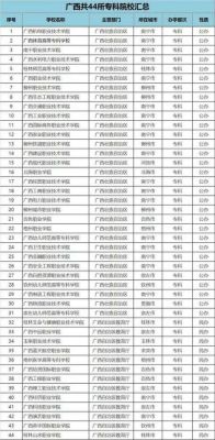 南宁的大专学校有哪些（南宁有哪所大专）-图1