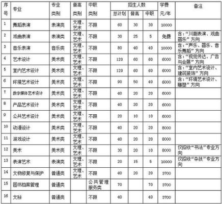 四川艺术职业学院播音主持（四川艺术职业学院播音主持对口单招录取率）-图2