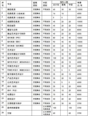 四川艺术职业学院播音主持（四川艺术职业学院播音主持对口单招录取率）-图3