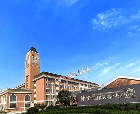 合肥有几所私立学校（安徽省合肥市有哪些私立学校）-图3