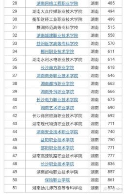 湖南省职高有哪些学校（湖南省职高有哪些学校好）-图1