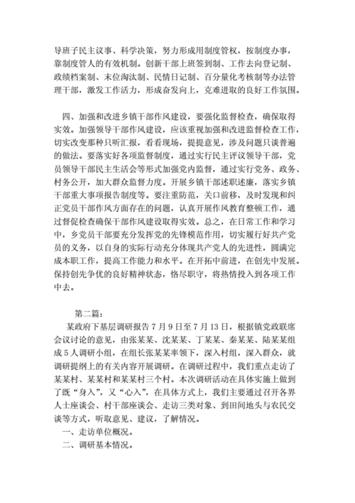 政府调研范文（政府调研材料怎么写）-图2