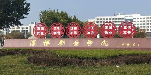 淄博职业学院学生妹（淄博职业学院旅馆叫声）-图1