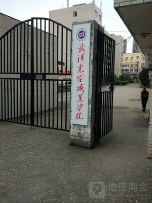 光谷专科学校（光谷的专科学校）