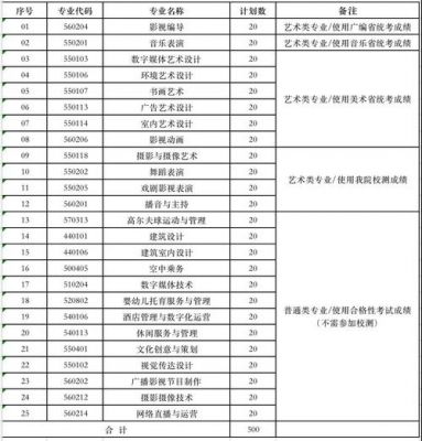 南京视觉艺术职业学院招生电话（南京视觉艺术职业技术学院招生简章）-图3