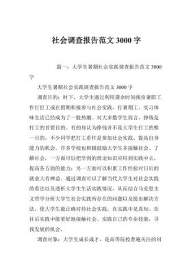 企业社会调查报告范文（企业社会调查报告范文3000字）-图2