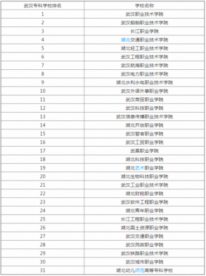 武汉长江职业学院海乘学费（武汉长江职业学院学费多少钱）-图2