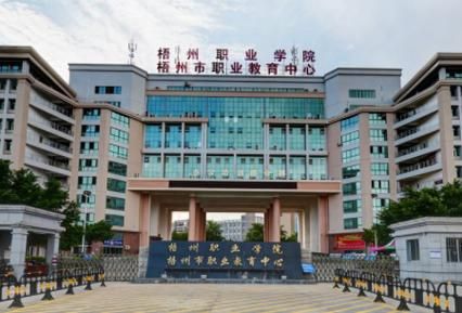 梧州职业学院14171（梧州职业学院是中专还是大专）-图2