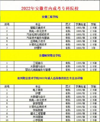 合肥大专学校学费多少（合肥大专的学校）