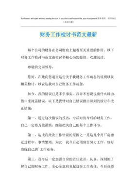 财务检讨书范文（财务检讨书格式范文）-图2