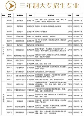 云南艺术职业学院学费（云南艺术职业学院学费多少一年）