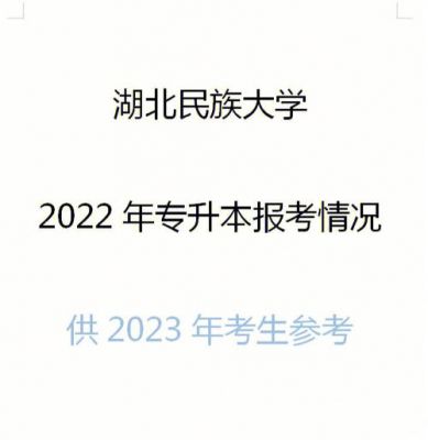 湖南民族职业学院升本（湖南民族职业学院专升本概率）-图1