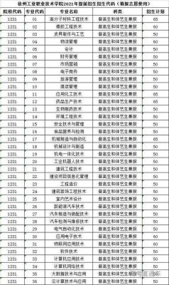 徐州工业职业学院代码（徐州工业职业技术专业代码）-图1