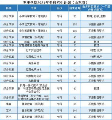 枣庄职业学院2019单招（枣庄学院2021单招）-图2