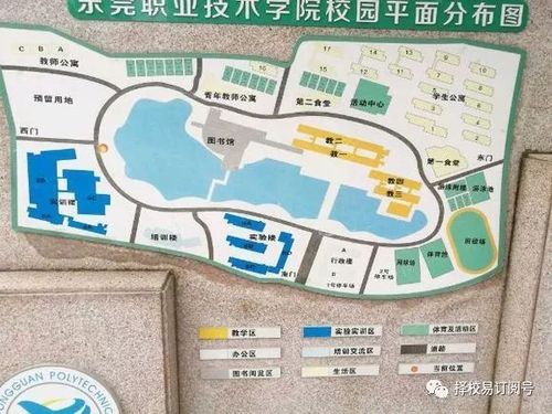 东莞交通职业学院在哪（东莞交通职业学院在哪个区）-图1