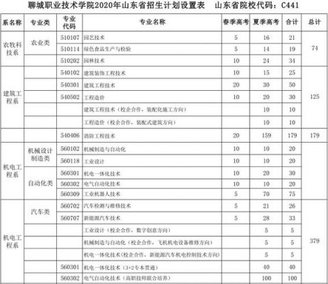 聊城职业学院分数线（聊城技术学院分数线）-图2