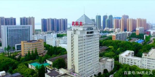 武汉青山区大学学校（武汉青山区大学有哪些）-图3