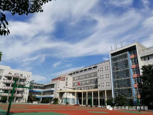 武汉青山区大学学校（武汉青山区大学有哪些）-图2