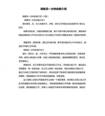 销售人员自我介绍范文（销售员的自我介绍怎么写）-图2