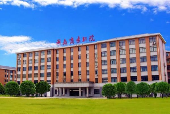 湖南共青科技职业学院（湖南共青团联系电话）-图2