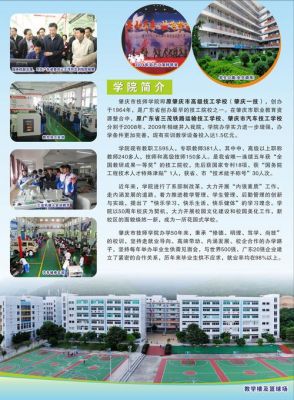 技师学院和职业学院选哪个（技师和职业学院啥区别）-图2