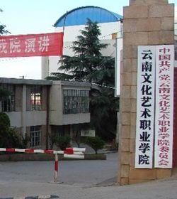 昆明文化职业学院（昆明文化艺术职业学校）-图2