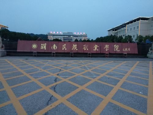 湖南民族职业学院设计（湖南民族职业学院设计专业就业前景）-图3